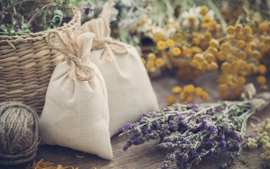 Herbolarios en Línea en Canarias: Tu Destino para la Salud Natural