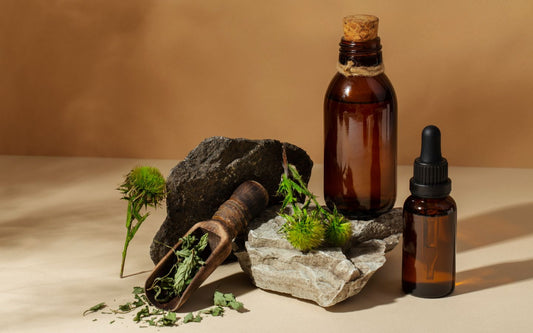 Bienestar natural en Canarias: Descubre la Fitoterapia