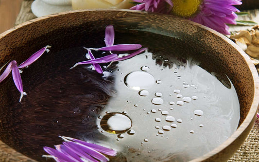 Beneficios de la Fitoterapia en Canarias: Descubre su Poder Natural