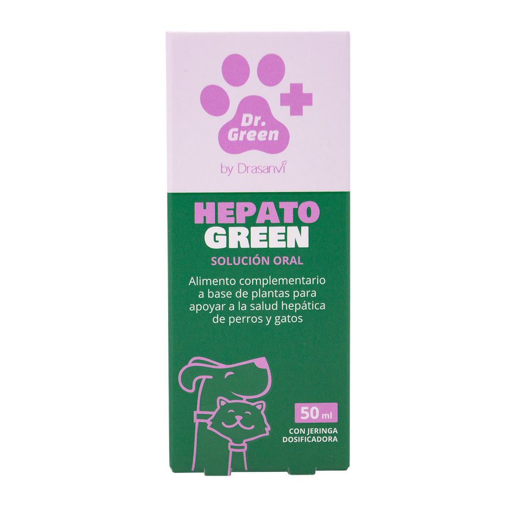 HEPATOGREEN SOLUCION ORAL 50ML DR GREEN