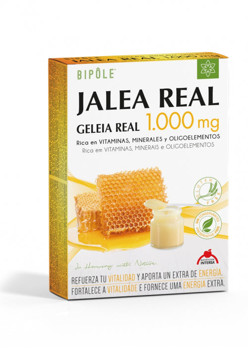 JALEA 1000 MG  AMPOLLAS