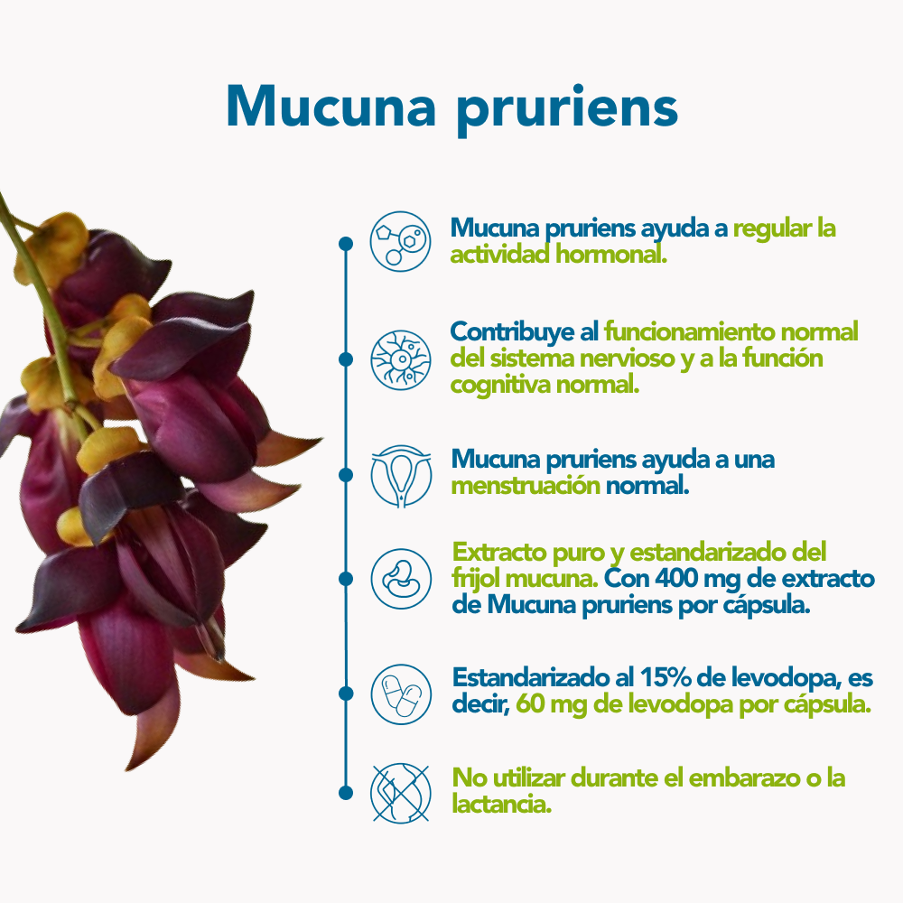 Mucuna pruriens - 60 caps