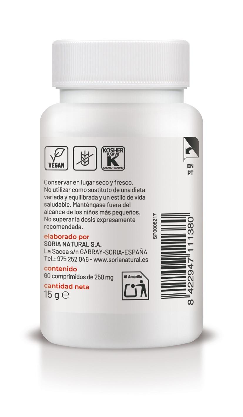 Vitamina B6 liberación sostenida - 60 comp
