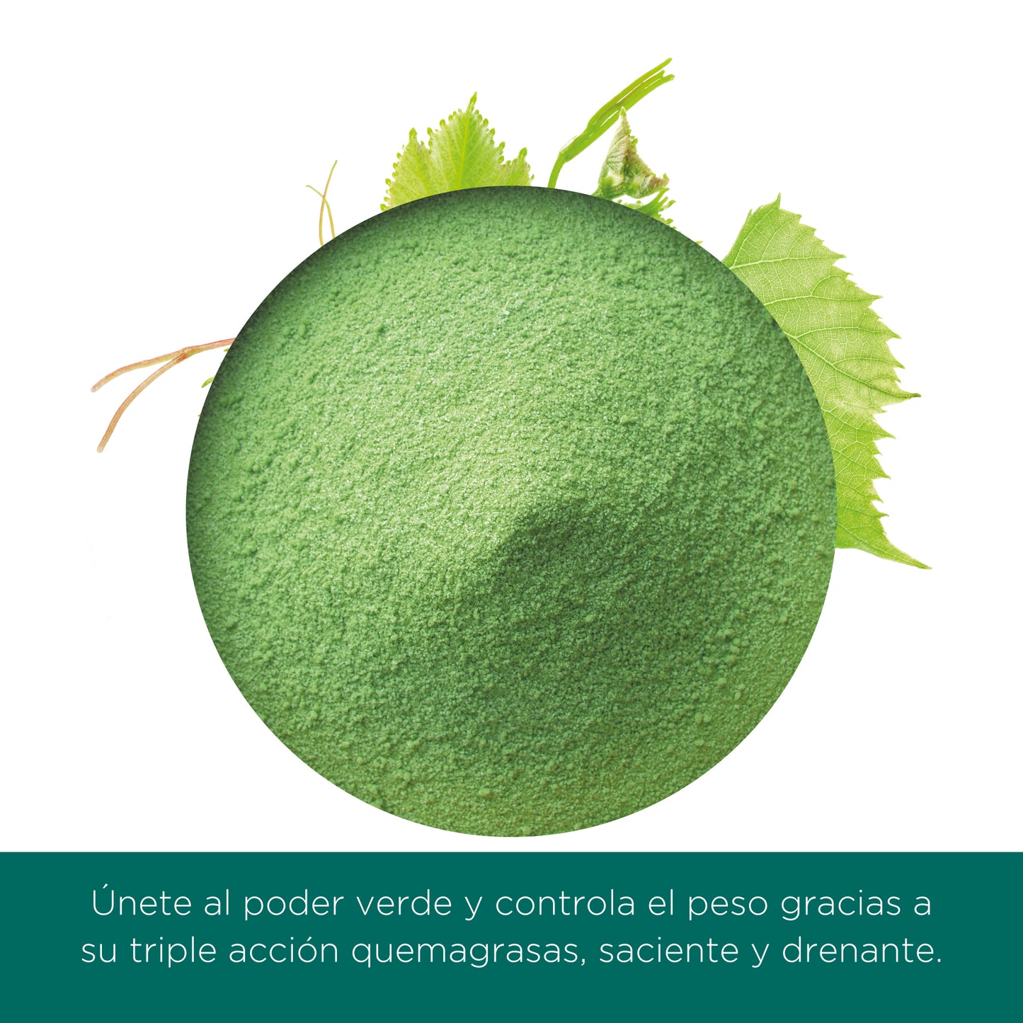 TRIESTOP GREEN LINE POLVO - 150GR
