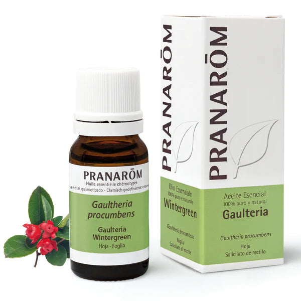 Aceite esencial de Gaulteria - 10 Ml Pranarom