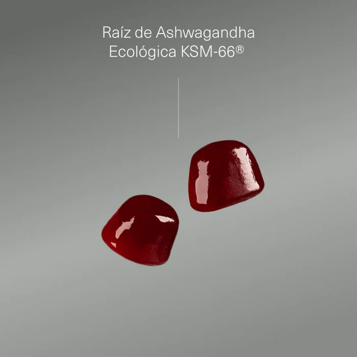 Ashwagandha en gominolas - 120 caps