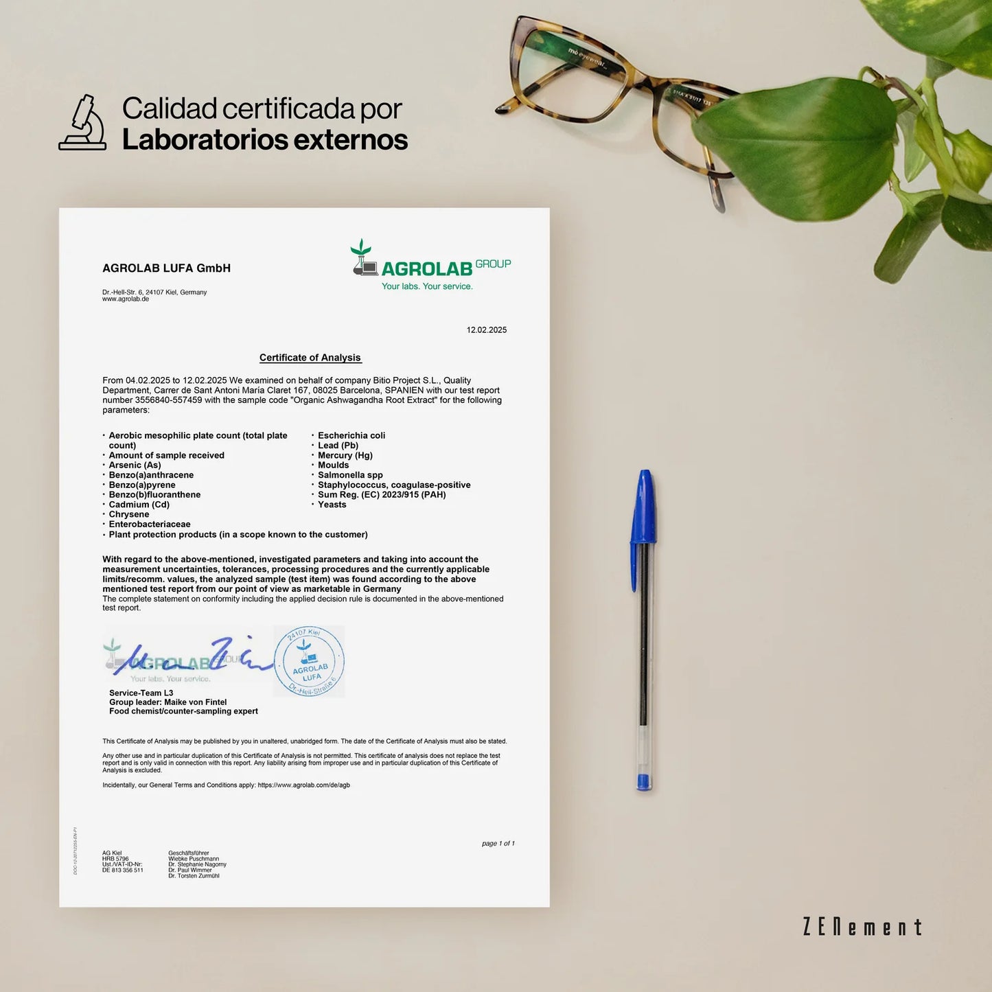 Ashwagandha Ecológica KSM-66 600 mg por cápsula - 120 Cápsulas