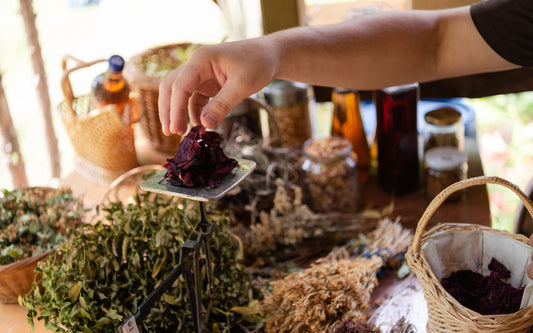 Productos Herbolarios en Canarias: Una Alternativa Saludable y Sostenible