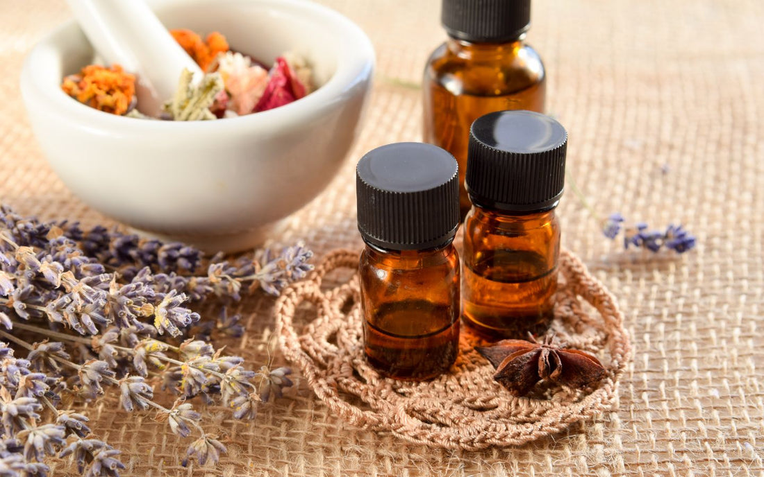 La Magia de las Plantas Medicinales en Canarias: Tradición y Eficacia