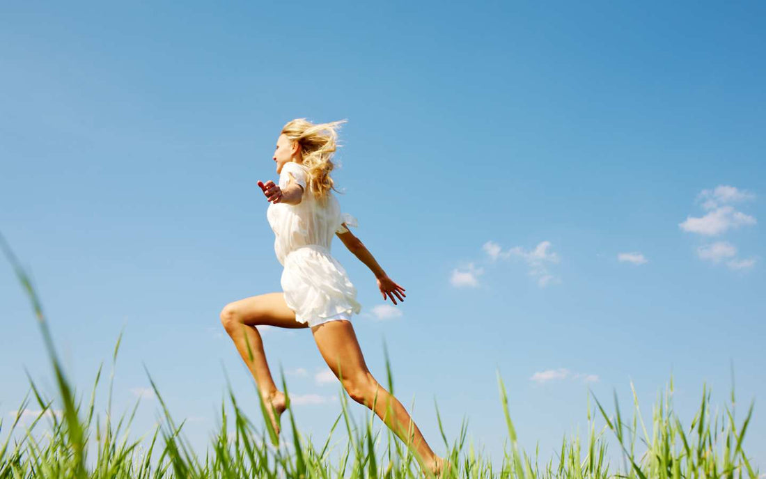 Herbolarios en Línea en Canarias: Tu Fuente de Energía Natural