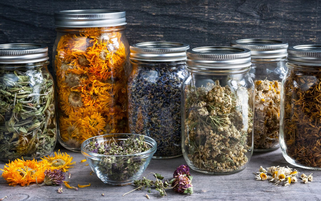 Hierbas Medicinales en Canarias: Remedios Tradicionales que Funcionan