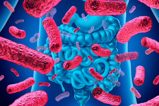 Disbiosis intestinal: qué es, síntomas y cómo tratarla de forma natural