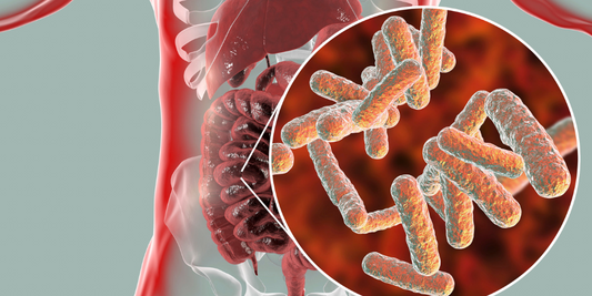 SIBO: sobrecrecimiento bacteriano, síntomas y qué suplementos pueden ayudar