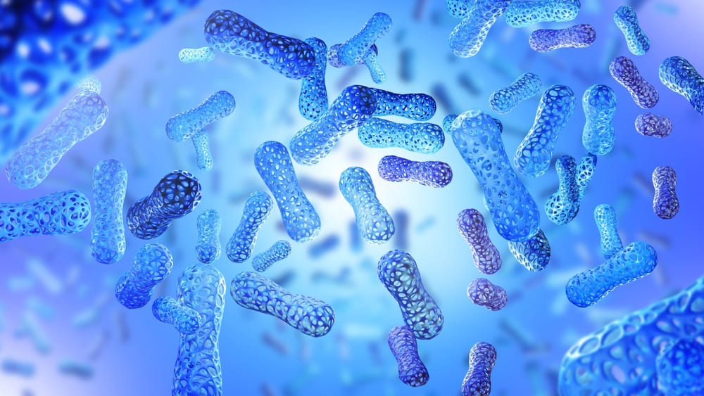 Probióticos y salud intestinal: la conexión que cambia tu bienestar