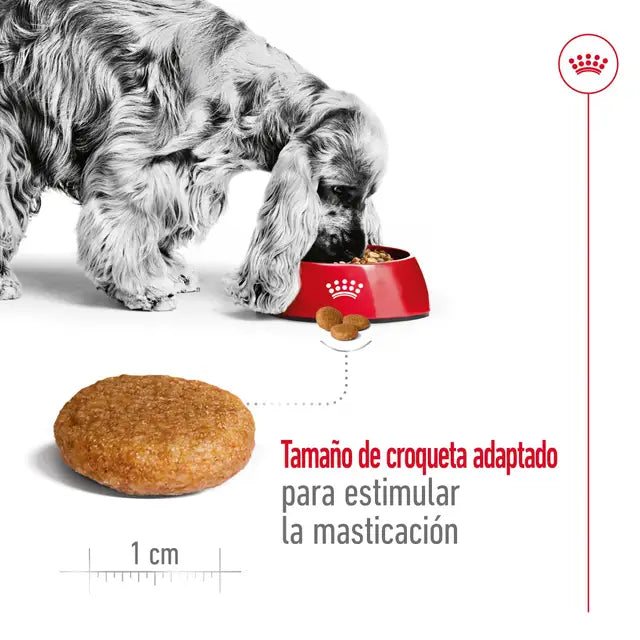 Royal Canin Puppy Medium - 4 kg pienso para perros