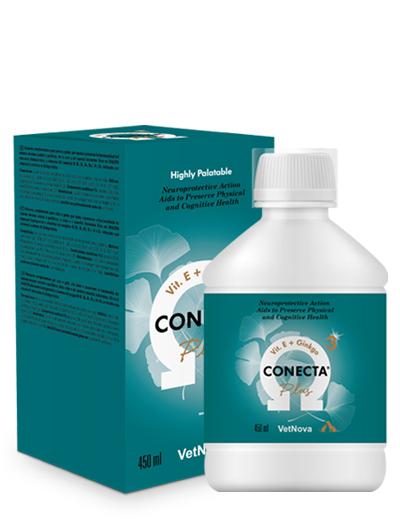 Conecta oral - 450 ml