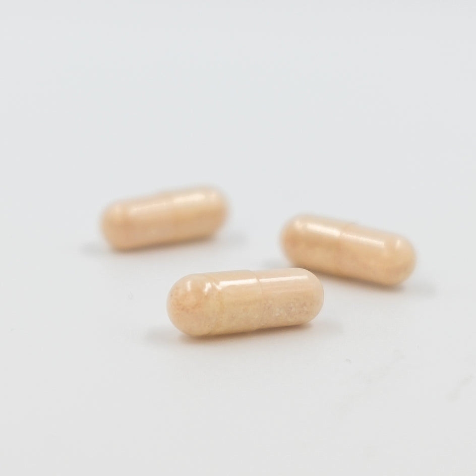 PROBIOVANCE S3 - 30 cápsulas Inovance