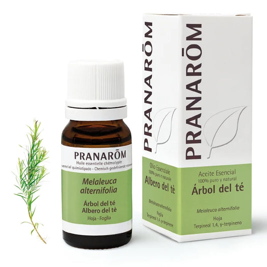 Aceite Esencial Árbol de Té - 10 Ml Pranarom