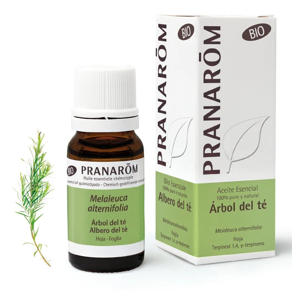 Aceite esencial árbol de té Bio - 10 Ml Pranarom