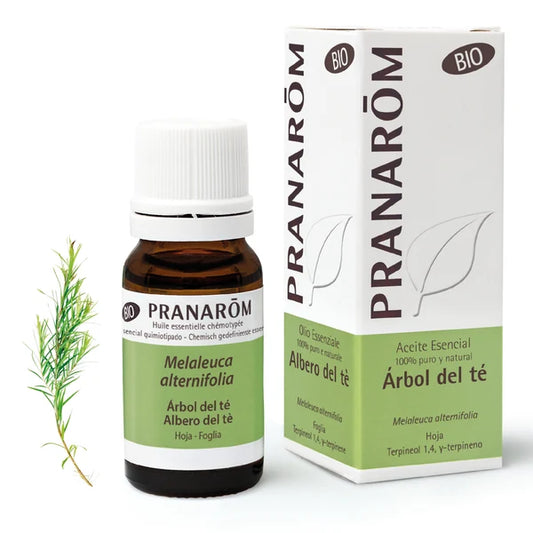 Aceite esencial árbol de té Bio - 10 Ml Pranarom