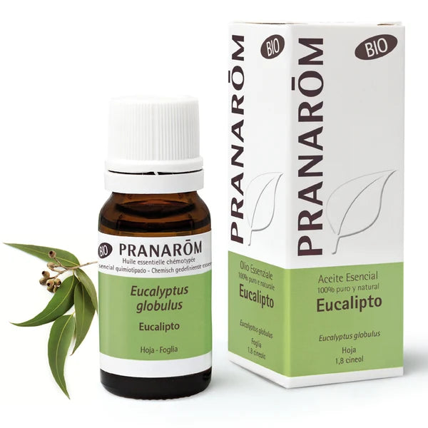 Aceite Esencial Eucalipto bio - 10 Ml Pranarom