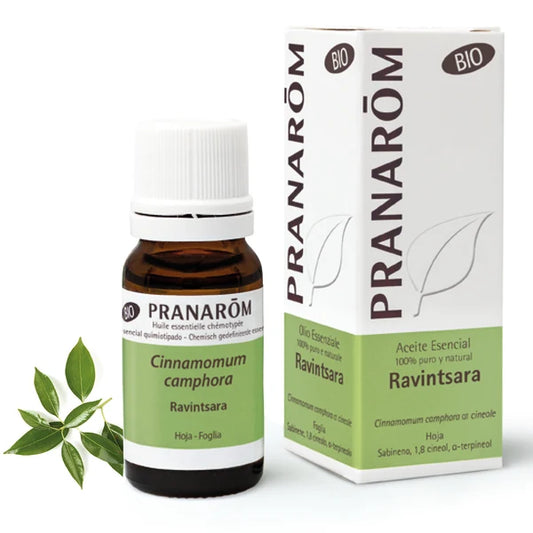 Aceite esencial de Ravintsara bio - 10 Ml Pranarom