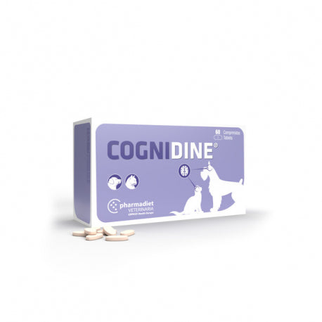 Cognidine - 60comp