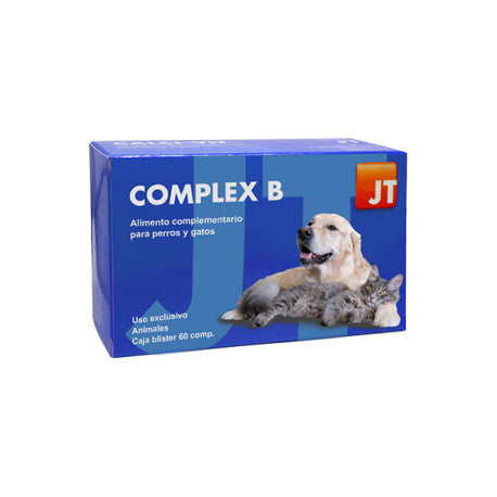 Complex B - 60 comp
