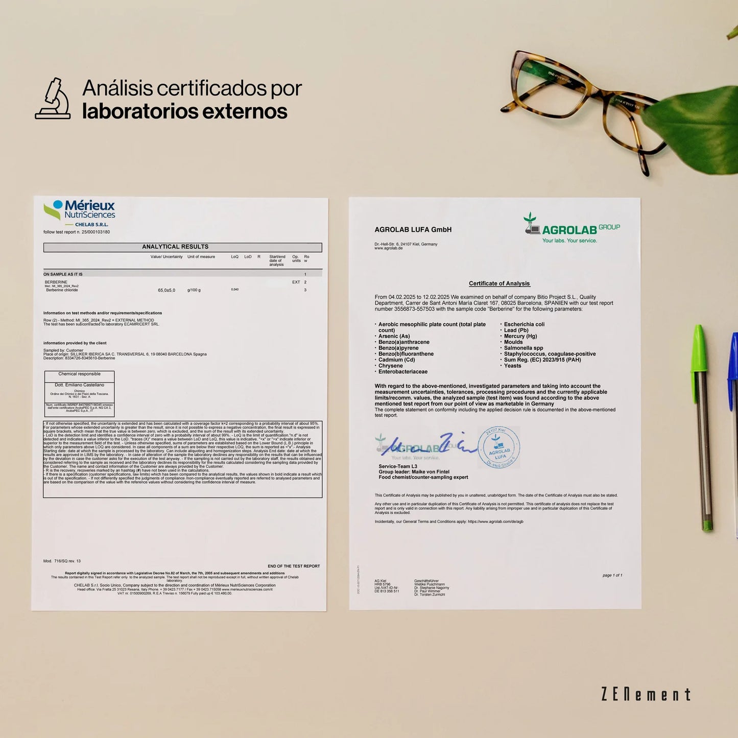 Berberina 500 mg - 120 Cápsulas
