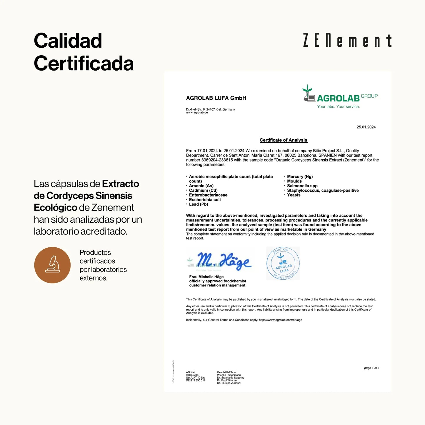 Extracto de Cordyceps Sinensis Ecológico - Zenement