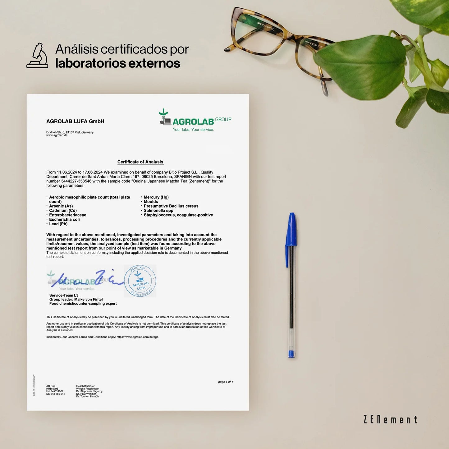 Té Matcha Japonés Ecológico Grado Ceremonial - 80 g