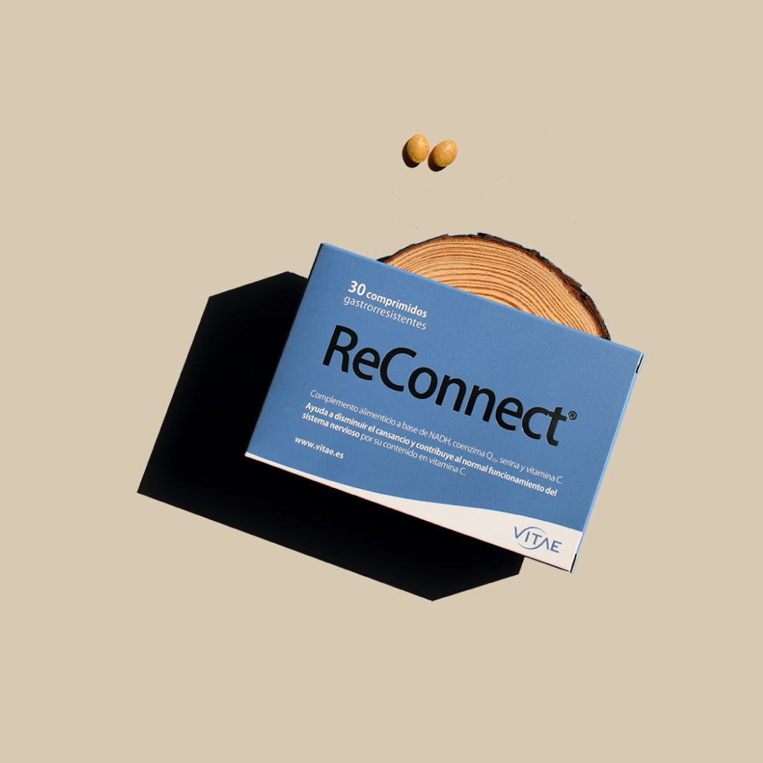 ReConnect - 90 comprimidos Vitae