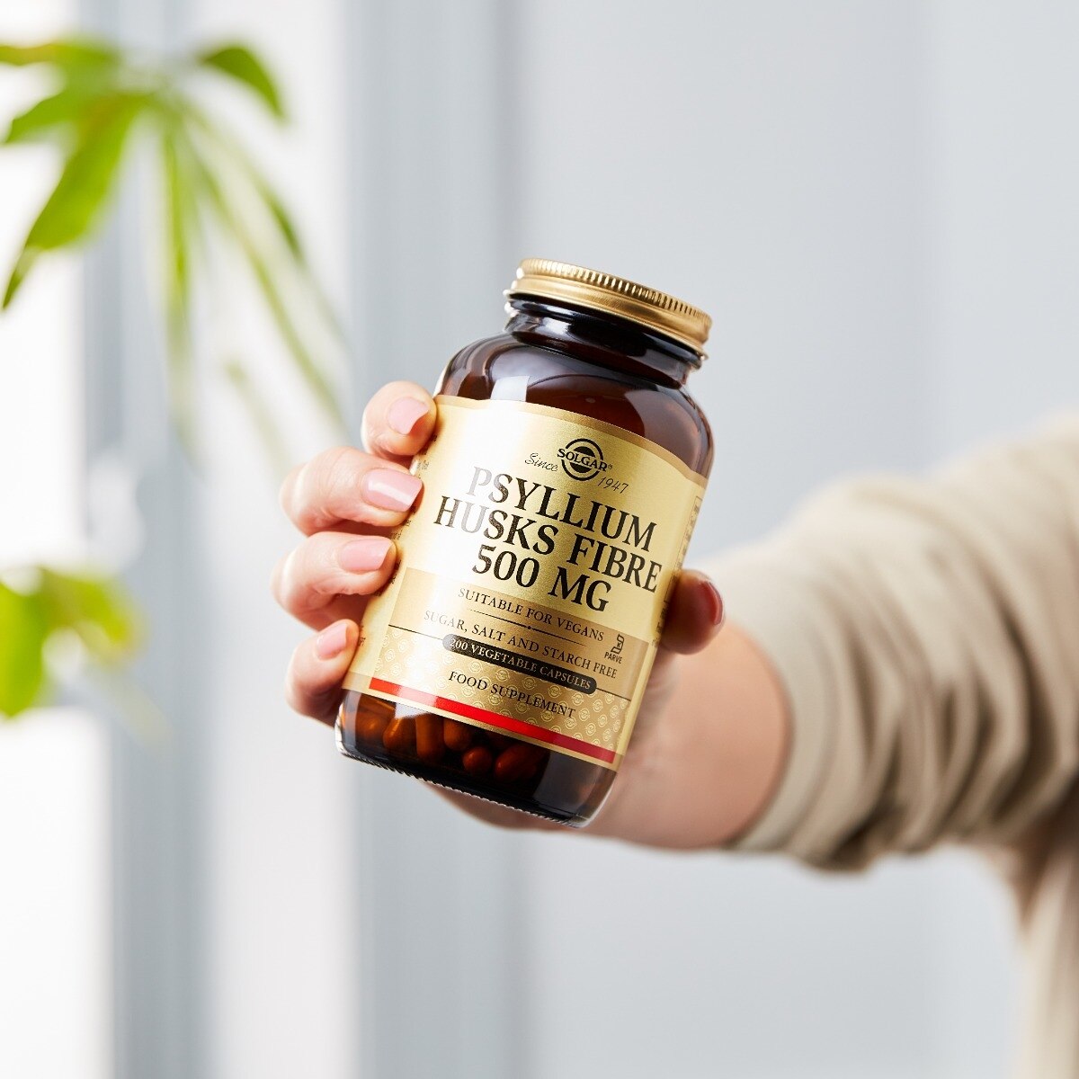 Fibra de cáscaras de psyllium 500 mg - 200 cápsulas vegetales