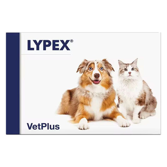 Lypex - 60 comp